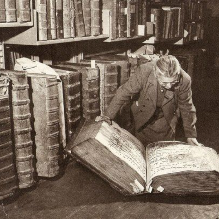 Where the Wild Books Are