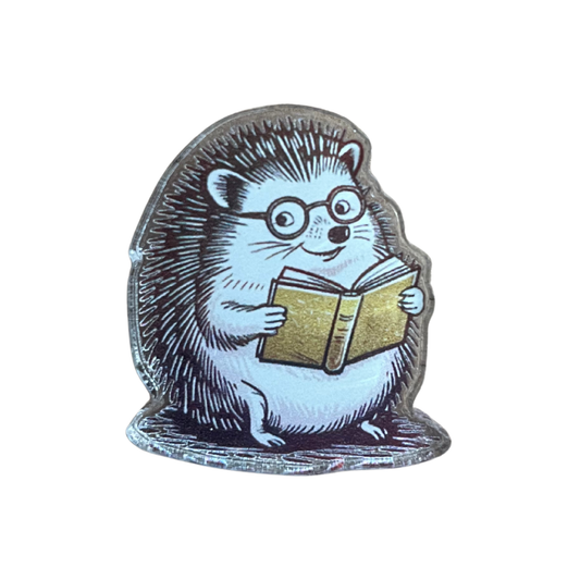Reading Hedgehog Pin